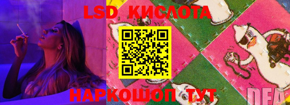Бошки Шишки Бузулук